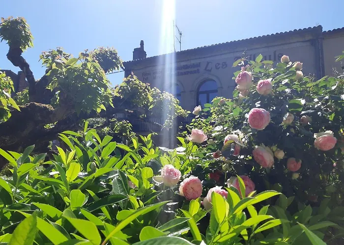 Les Tilleuls Apartmanhotel